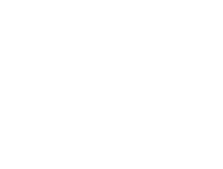 Global logo